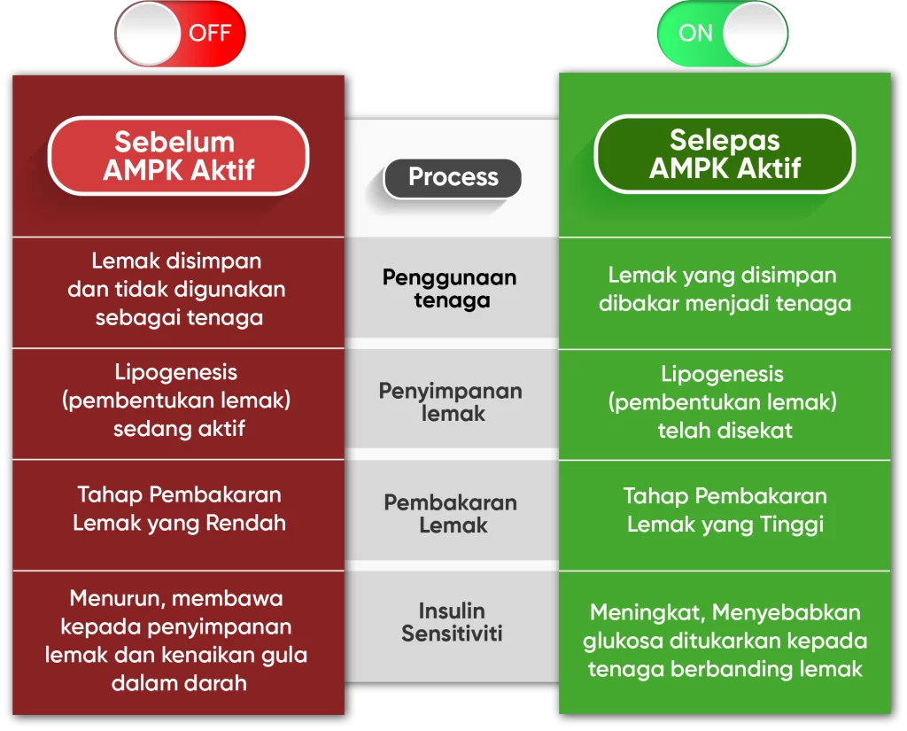 metaponin malaysia perbandingan