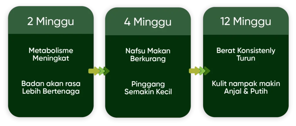 metaponin malaysia minggu