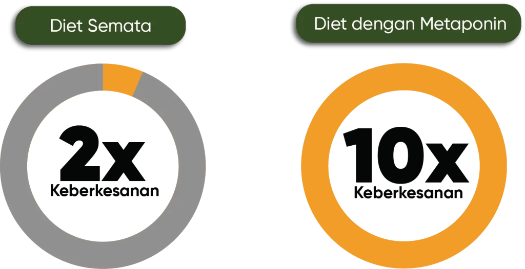 metaponin malaysia diet