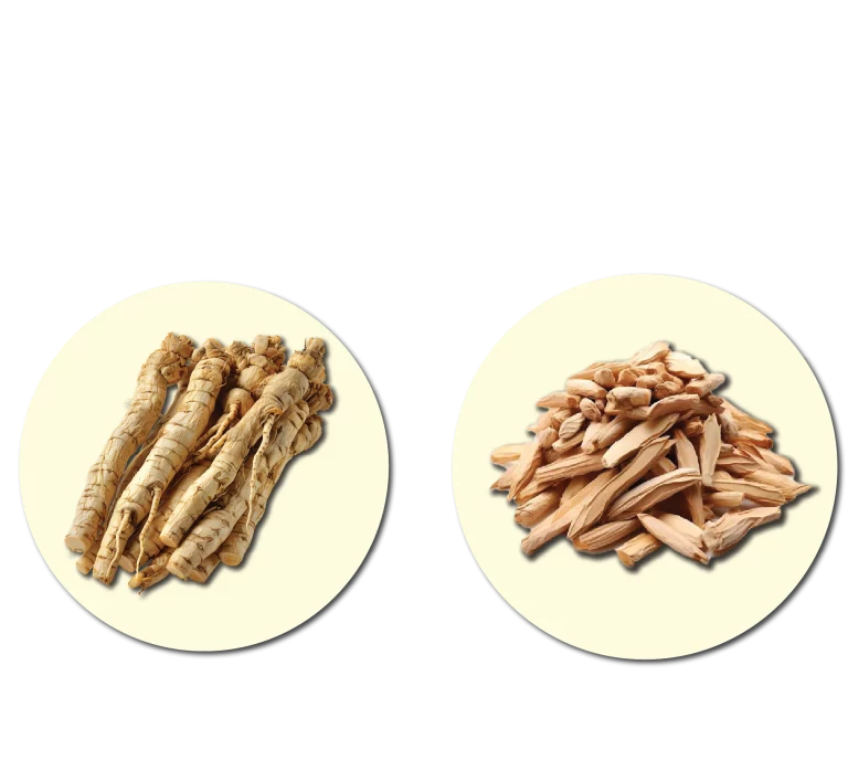 metaponin malaysia bahan 1