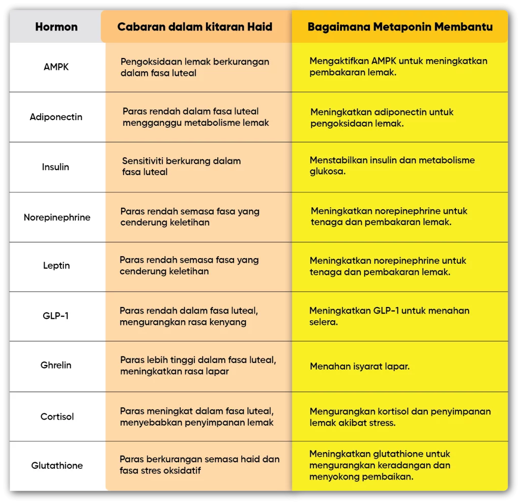 metaponin malaysia fungsi ketika haid